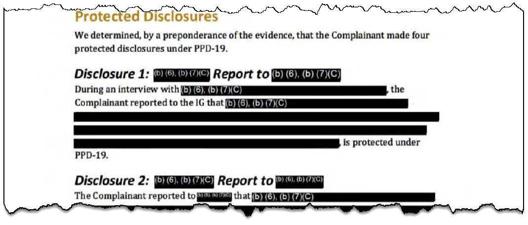 DoD OIG Report Executive Summary